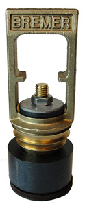 BRASS BREMER CHECK VALVE 2 NL Image