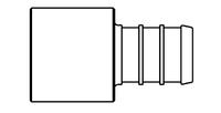 PEX FEM SWT ADP NL 1/2PX1/2FS Image