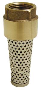 FOOT VALVE BRONZE 2 NL Image