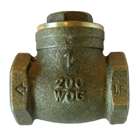 BRASS SWING CK VALVE 1 SXS NL Image