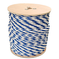 ROPE TWISTED BLU&WHT 5/8 X600 Image