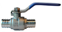 SS 304 BALL VLV FP 600# 1/2 PEX Image